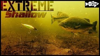 When and How to Catch Bass on Jerkbaits in Shallow Water [upl. by Prior]