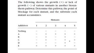 Biochem Pathway Analysis part 1 [upl. by Ahseya]