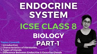 Endocrine System  ICSE CLASS 8 Biology  Part  1 [upl. by Auj117]