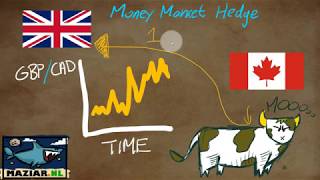 Money market hedge forex lecture [upl. by Halian]