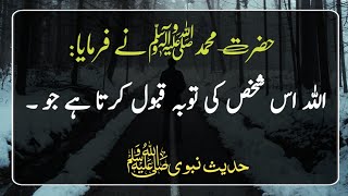 Hadees E Nabvi in urdu  Hadees Sharif  Hadees  Hadith  ISLAMIC HADEES Nabi ki baatein [upl. by Neil]