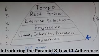 Muscle and Strength Training Pyramid Level 1 and intro [upl. by Ajdan]