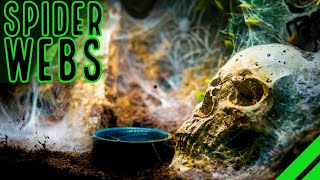 TOP 10 Heaviest Webbing Tarantulas BIG Spiders BIGGER Webs [upl. by Norak]