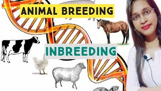 Animal Breeding Inbreeding  full notes  Animal Husbandry [upl. by O'Shee]