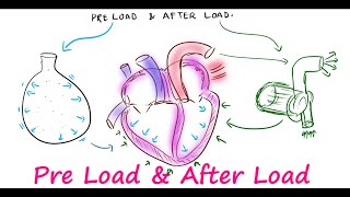 Preload amp Afterload [upl. by Purvis]