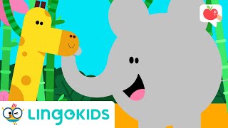 JUNGLE ANIMALS for Kids 🐯 🦍 VOCABULARY SONGS and GAMES  Lingokids [upl. by Burnard]