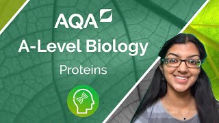 AQA A Level Biology Proteins [upl. by Kevin]