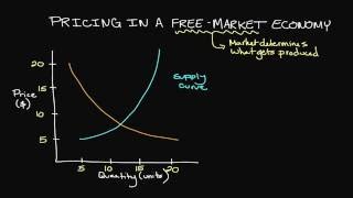 Pricing in a FreeMarket Economy [upl. by Icnarf165]