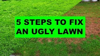 How to Fix an Ugly Lawn in 5 Easy Steps [upl. by Diandre]