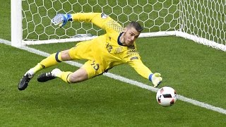 Best Goalkeeper Saves ● Euro 2016 [upl. by Namreg]