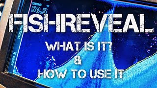 Lowrance FishReveal  How to use it [upl. by Aikemehs]