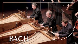 Bach  Concerto for three harpsichords in D minor BWV 1063  Mortensen  Netherlands Bach Society [upl. by Harutek]