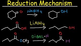 NaBH4 LiAlH4 DIBAL Reduction Mechanism Carboxylic Acid Acid Chloride Ester amp Ketones [upl. by Iztim]