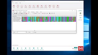 Making a Multiple Sequence Alignment in MEGA [upl. by Adara]