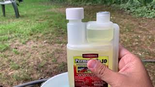 How to use Permethrin to dip your chickens [upl. by Adnalohs387]