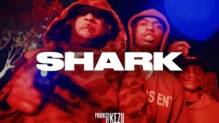 FREE Sdot Go X Sweepers X Dark Jersey Club Type Beat 2023  quotSHARKquot Jersey Drill Type Beat [upl. by Anitra]