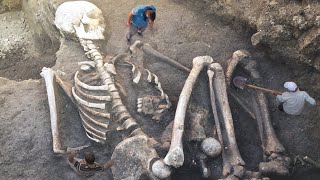 BIGGEST Real Life Skeletons Unearthed [upl. by Arres533]