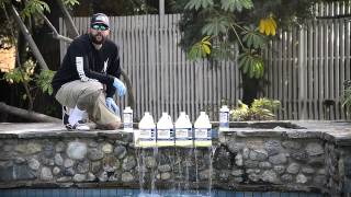 How to Remove Phosphates amp Clarify Your Pool Water [upl. by Cuthbertson428]