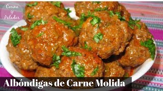 COMO HACER ALBONDIGAS DE CARNE MOLIDA PASO A PASO [upl. by Lief]