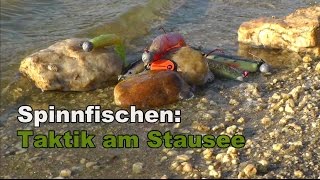 Spinnfischen Taktik am Stausee [upl. by Irec]