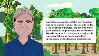 2 ¿Qué son los Sistemas Agroforestales [upl. by Annirak644]