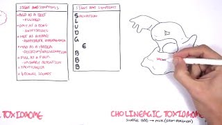 Cholinergic and Anticholinergic Toxicity Toxidrome [upl. by Aldis]