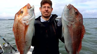 Westernport Snapper amp Gummy Shark Fishing with FishingMad [upl. by Carlynne]