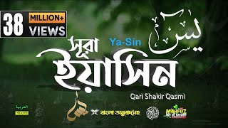 036 সূরা ইয়াসীন Surah YaSin হৃদয় ছোঁয়া سورة يس‎ অনুবাদ qari Sakir Qasmi  mahfuz art of nature [upl. by Nyrek]