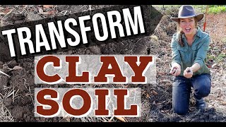 How Do I Improve Heavy Clay Soil in the Garden [upl. by Kandy]