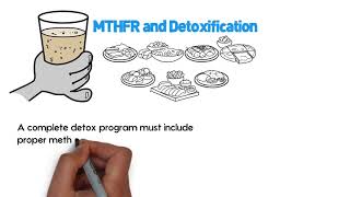 What is MTHFR MTHFR Mutation Explained  MethyleneTetraHydroFolate Reductase [upl. by Meill]