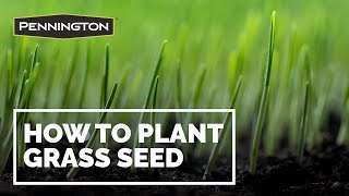 How to Plant Grass Seed  Pennington Grass Seed [upl. by Aisayt]