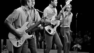 The Beach Boys PapaOomMowMow Live 1964 [upl. by Ilesara]