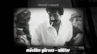 Müslüm Gürses Nilüfer slowed [upl. by Dinse]