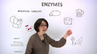 What are enzymes [upl. by Nahgiem]