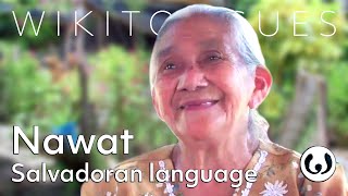 The Nahuat language casually spoken  Nantzin speaking Nawat  Wikitongues [upl. by Erdnaxela28]