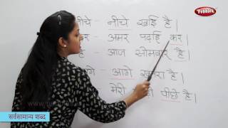 Reading Basic Hindi Words Sentences  हिन्दी शब्द  Sight Words in Hindi  Hindi Phonics [upl. by Eadwina610]