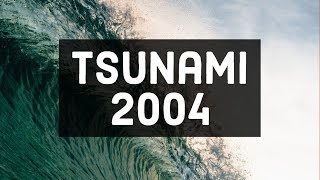 Tsunami 2004 Caught On Camera  Original Footage HD [upl. by Enitsej241]