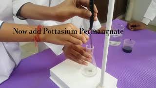 ChemistryPracticalTitration Mohrs saltKMnO4 Class 12Important Practical for CBSE [upl. by Dan]