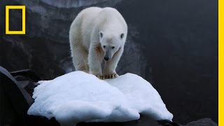 Climate Change Impacts All of Us But Theres Hope  National Geographic [upl. by Amer]