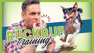 Rückruftraining  Deinem Hund oder Welpen KOMM beibringen [upl. by Tallula]