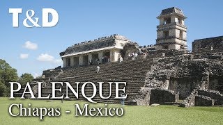 Palenque Tourist Guide 🇲🇽 Mexico Video Guide  Travel amp Discover [upl. by Pardo]