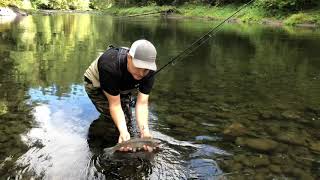 Are Spoons the Best Trout Lure Tactics amp Benefits [upl. by Lilllie]