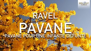 Ravel Pavane [upl. by Casteel]