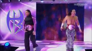 THE HARDY BOYZ RETURN ENTRANCE AS TAG TEAM CHAMPIONS 2017 [upl. by Eartnoed]