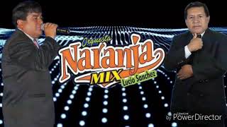 NARANJA MIX  PRIMICIA 2019  ASESINA DE AMOR [upl. by Eugeniusz960]