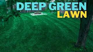 🟢 Make your ugly lawn DARK GREEN in 3 days [upl. by Frodi]