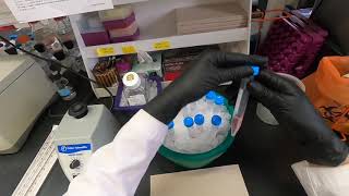 Cell Cycle Analysis by Flow Cytometry [upl. by Teahan286]