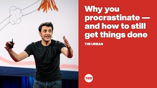 Why you procrastinate  and how to still get things done  Tim Urban [upl. by Ytissahc538]