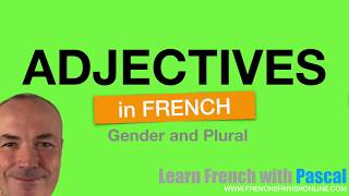 French adjectives Rules Masculine  Feminine [upl. by Nanice248]