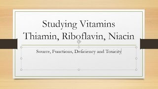 Overview Vitamins Thiamin Riboflavin and Niacin [upl. by Euqcaj626]